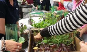 Semana da Pauta Verde