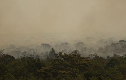 Foto mostra que focos de incêndio atingem áreas do Parque Nacional de Brasília. Foto: Marcelo Camargo/Ag. Brasil