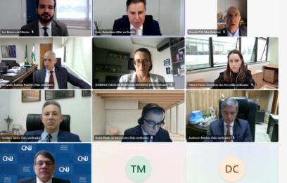 Imagem da reunião feita de forma remota