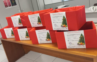 Seis caixas forradas de vermelho, sobre uma mesa de madeira. Nas caixas estão colados cartazes brancos com texto e figura de árvore de Natal