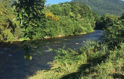 Rio de águas escuras contorna uma área de vegetação densa, com uma montanha coberta por mata ao fundo sob céu azul limpo. Em primeiro plano, há gramado e sombras de árvores, compondo uma paisagem natural e tranquila.
